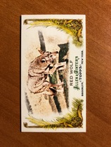 2011 Topps Allen and Ginter Mini Animals in Peril #AP23 Red Wolf