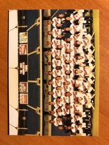 1983 Team Issue Minnesota Twins #35 Team Photo