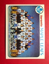1978 Topps Base Set #206 Maple Leafs Team