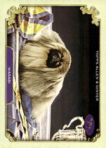 2024 Topps Allen & Ginter Stars Of The Show The Westminster Kennel Club #SOS-12 Wasabi