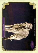 2024 Topps Allen & Ginter Stars Of The Show The Westminster Kennel Club #SOS-21 Hickory