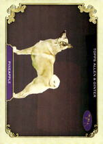 2024 Topps Allen & Ginter Stars Of The Show The Westminster Kennel Club #SOS-32 Pineapple