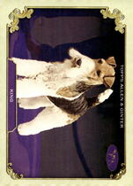 2024 Topps Allen & Ginter Stars Of The Show The Westminster Kennel Club #SOS-14 King