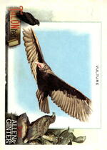 2023 Topps Allen & Ginter TALON-ted #TT-4 Vulture