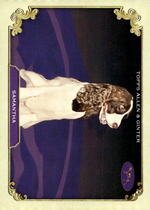 2024 Topps Allen & Ginter Stars Of The Show The Westminster Kennel Club #SOS-39 Samantha