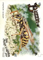 2024 Topps Allen & Ginter Buzzin #BUZ-14 Paper Wasp