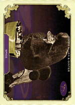 2024 Topps Allen & Ginter Stars Of The Show The Westminster Kennel Club #SOS-37 Spice