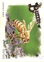 2024 Topps Allen & Ginter Buzzin #BUZ-2 Honey Bee