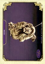 2024 Topps Allen & Ginter Stars Of The Show The Westminster Kennel Club #SOS-9 Bean