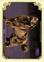 2024 Topps Allen & Ginter Stars Of The Show The Westminster Kennel Club #SOS-24 Josh