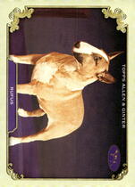 2024 Topps Allen & Ginter Stars Of The Show The Westminster Kennel Club #SOS-23 Rufus