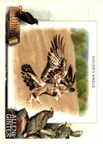 2023 Topps Allen & Ginter TALON-ted #TT-9 Golden Eagle