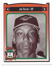 1991 Team Issue Baltimore Orioles Crown #450 Joe Taylor