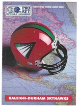 1991 Pro Set WLAF Helmets #8 Ral.-Durham Skyhawk