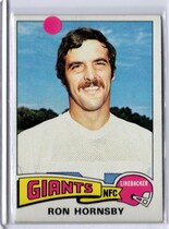 1975 Topps Base Set #87 Ron Hornsby
