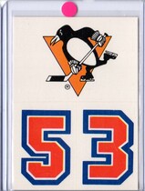 1989 Topps Sticker Inserts #16 Pittsburgh Penguins