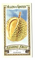 2022 Topps Allen & Ginter Mini Bearing Fruit #BF-4 Durian