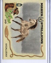 2019 Topps Allen & Ginter Mares and Stallions #MS-9 Andalusian Horse