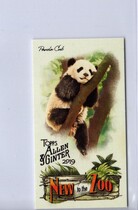 2019 Topps Allen & Ginter Mini New to the Zoo #NTTZ-6 Panda Cub