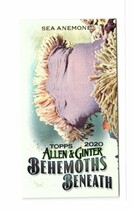 2020 Topps Allen & Ginter Mini Behemoths Beneath #MGB-19 Sea Anemone