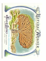 2014 Topps Allen & Ginter Natural Wonder #NW-18 Socotra Archipelago