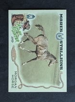 2019 Topps Allen & Ginter Mares and Stallions #MS-5 Morgan Horse