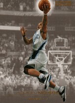 2008 SkyBox Base Set #118 Jameer Nelson